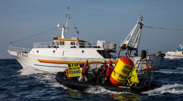 Greenpeace-Aktivisten demonstrieren für eine nachhaltige Fischerei 