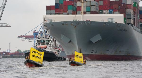 Greenpeace-Schlauchboote vor dem Frachtschiff "Cosco Pride", Juni 2013