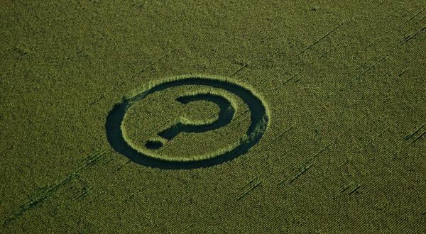 Ein großes Fragezeichen in einem Maisfeld in Kanada symbolisiert die ungewissen risiken von Gen-Mais. August 2007