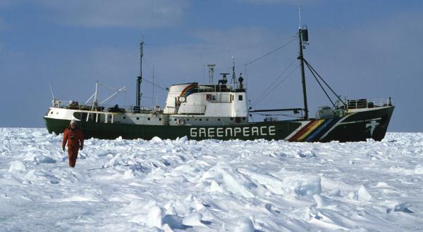 Das Greenpeace-Schiff "Rainbow Warrior I" im Einsatz gegen kanadische Robbenjäger im Golf von St. Lorenz