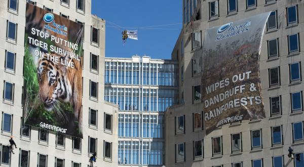 Greenpeace-Aktivisten hängen zwei riesige Banner an die beiden Türme des US-Hauptquartiers von Procter & Gamble mit der Botschaft “Head & Shoulders - setzt das Überleben der Tiger nicht länger aufs Spiel”