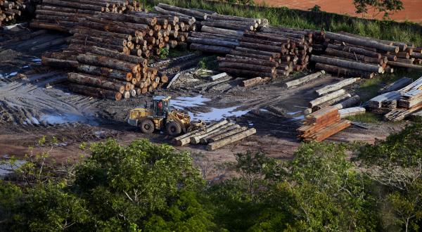 Regenwald wird abgeholzt in Para, Brasilien, März 2014