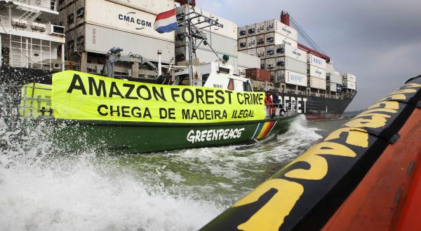 Greenpeace Aktivisten protestieren gegen Holztransport aus dem Amazonas in Brasilien, 2014