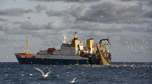 Industrieschiff im Ärmelkanal. Es fängt bis zu 250 Tonnen in einer Viertelstunde. 