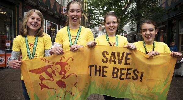 Greenteam Aktionstag für die Bienen, Mai 2015