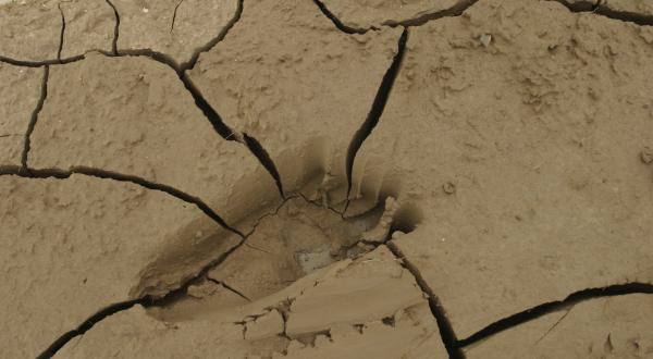 Fußabdruck in ausgetrockneter Erde