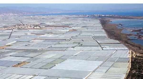 Plastikfolien-Gewächshäuser für den Gemüseanbau entlang der spanischen Küste bei Almeria unter starker Pestizidbehandlung, November 2004