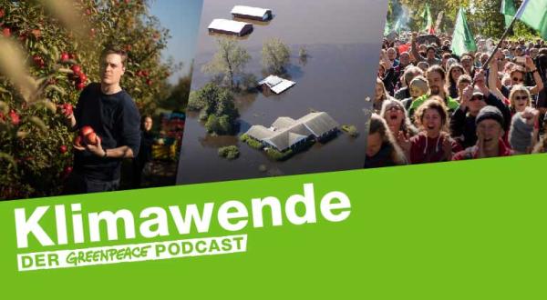 Kollage: Apfelbauer, Überschwemmung, Demo Hambacher Wald