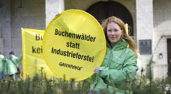 Douglasien für den bayerischen Forstminister im April 2012