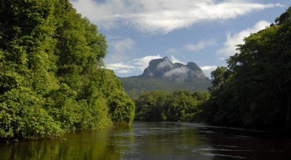 Der Rio Negro im Amazonas-Regenwald 05/15/2006