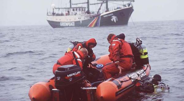 Greenpeace Schiff "Rainbow Warrior" mit Tauchern und Schlauchbooten auf der Nordsee-Offshore Tour, Juli 2002.