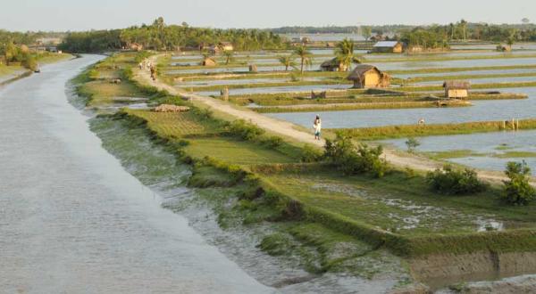 Aquakultur: Eine Shrimpsfarm in Bangladesch, Mai 2007