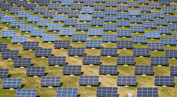 Feld mit hunderten Solarzellen