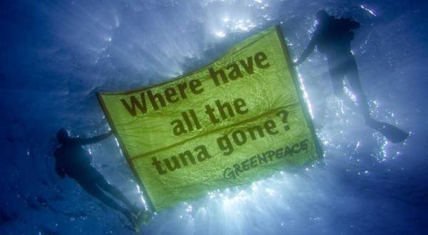 Greenpeace Taucher mit Unterwasserbanner vor den Balearen. Mai 2006