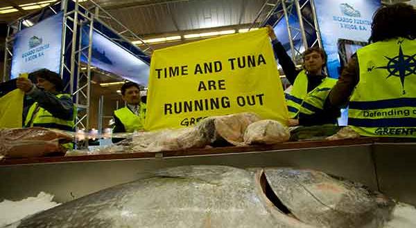 Protest auf der European Seafood Exposition in Brüssel gegen die Überfischung der Thunfischbestände, April 2008 