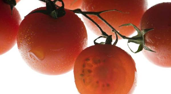 Tomaten