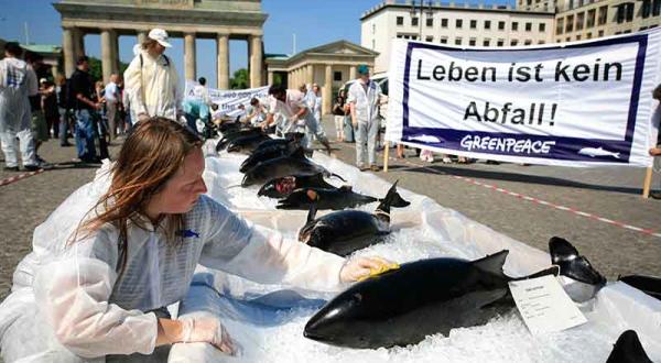 Greenpeace protestiert mit 17 eisgekühlten toten Walen vor dem Brandenburgertor, Mai 2007 