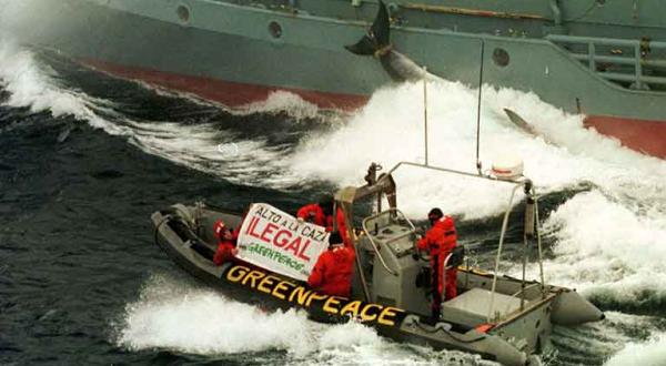 -Aktion gegen den illegalen japanischen Walfänger "Nisshin Maru", Dezember 1999