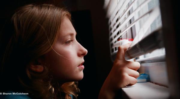 Wir brauchen Demokratie