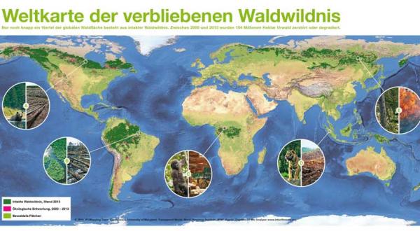 Greenpeace-Weltkarte der verbliebenen Waldwildnis, 2015