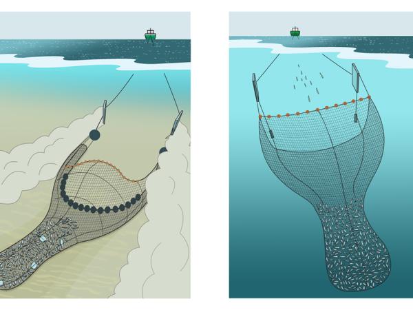 Fischerei mit Schleppnetzen und Grundschleppnetzen