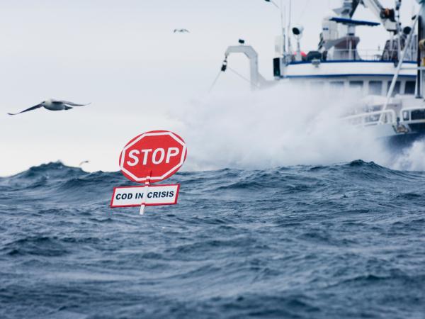 Action Against Trawlers in the North Sea