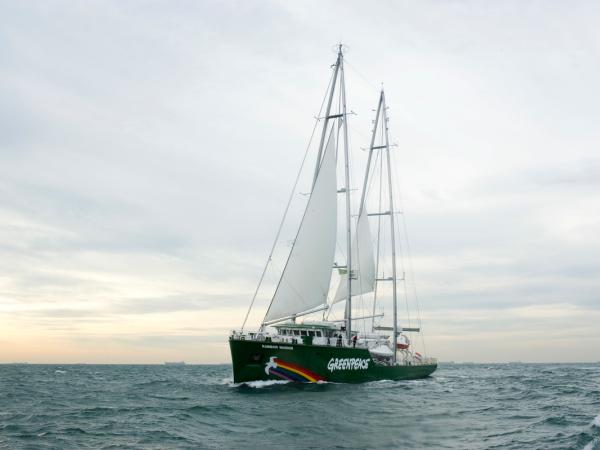 Die neue Rainbow Warrior segelt von Hamburg nach Amsterdam entlang der Küste von IJmuiden.