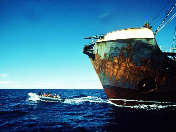 Anti-Walfang-Kampagne 1976 im Nordpazifik: Ein Greenpeace-Schlauchboot blockiert ein russisches Harpunenschiff zwischen Mexiko und Hawaii.
