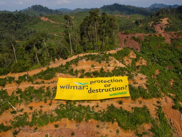 Protest gegen Palmöl in Sumatra