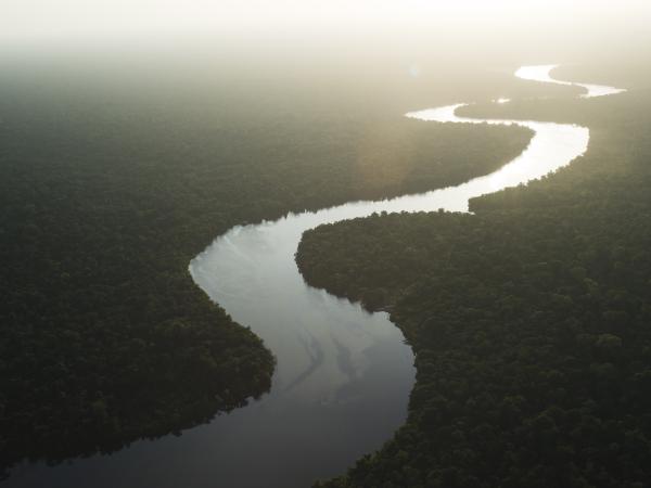 Luftaufnahme des Anajás Flusses, der sich bei Nebel und Sonnenlicht durch einen dichten Regenwald schlängelt