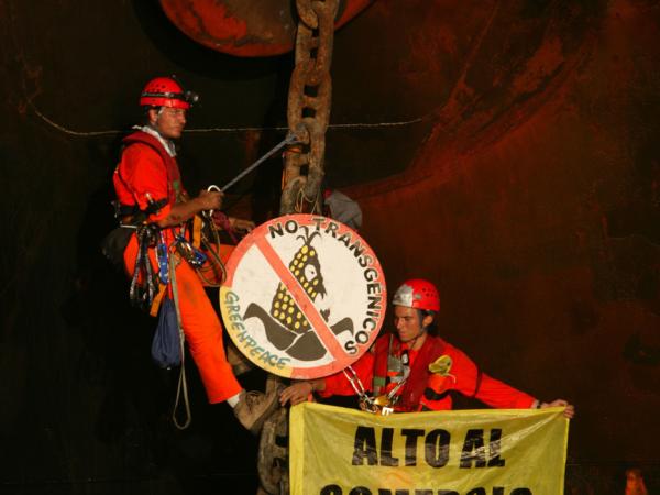 Action during WTO Meeting in Mexico