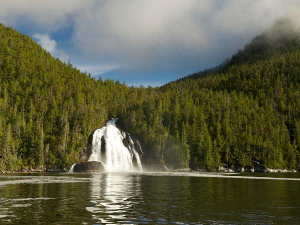 "Great Bear"-Regenwald in Kanada. Wald mit Wasserfall.