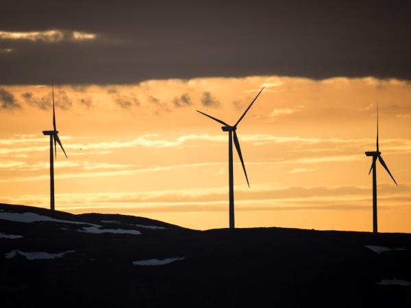 Arctic Ship Tour 2014