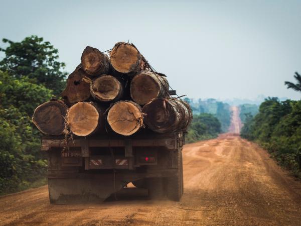 LKW mit Holz im Bundesstaat Amazonas