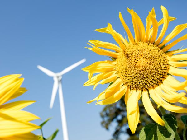 Sun Flower and Wind Energy in Germany