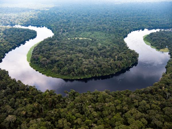 Luftbild des Fluss Monboyo im Kongo umgeben von Urwald