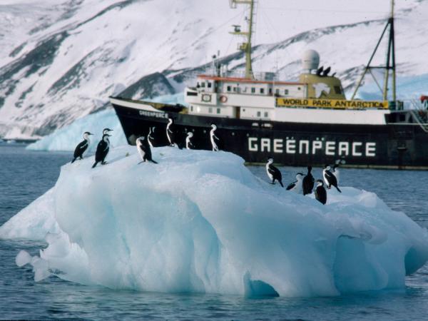 MV Greenpeace in Antarctica