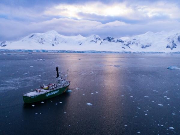 Die Arctic Sunrise in der Antarktis
