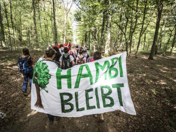 Demonstration against Planned Logging in Hambach Forest