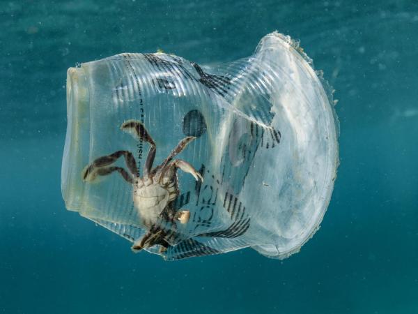 Plastic Waste in Verde Island, Philippines