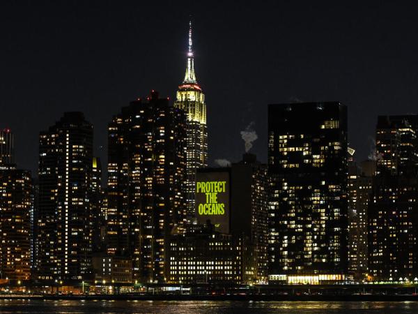 Projection Calling for Ocean Protection in New York