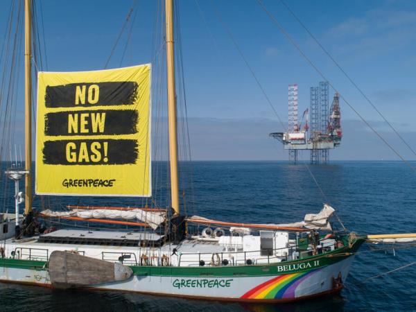 Borkum Gas Project - Beluga Protest at Sea