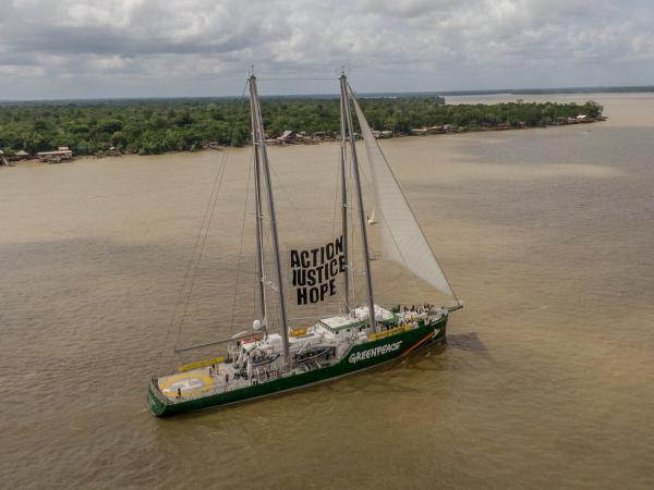 Drohnenbild der Rainbow Warrior mit Protestplakat "Action Justice Hope" vor dem Regenwald