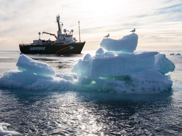 Elfenbeinmöwen versammeln sich auf einer kleinen Eisscholle an der Meereiskante, im Hintergrund ist der arktische Sonnenaufgang zu sehen.