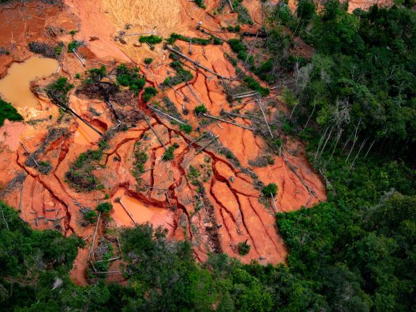 Illegal Mining in Yanomami Indigenous Land in Brazil