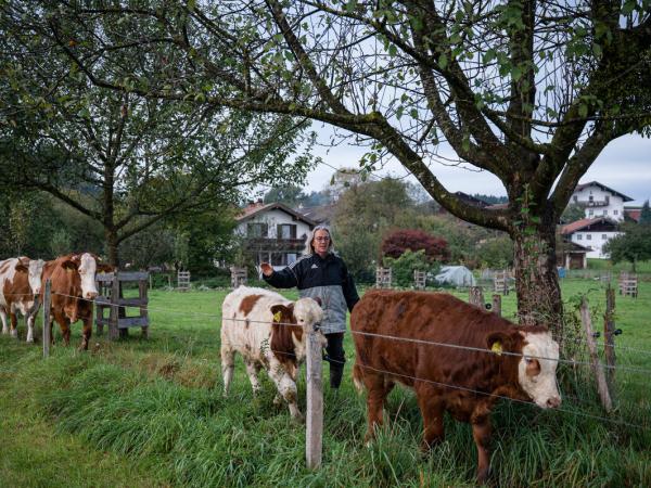 Ökologischer Rinderbetrieb in Bayern: Landwirt auf einer Weide mit Rindern