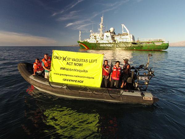Greenpeace-Aktivisten mit Banner vor der Esperanza