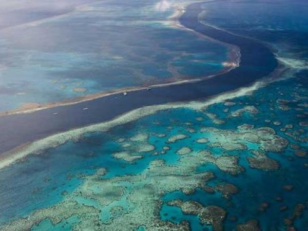 Plastik im Meer - auch am Great Barrier Reef