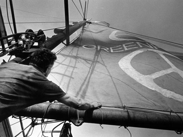 Greenpeace Segelschiff