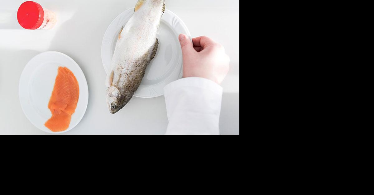 Chemie in der Fischtheke Greenpeace